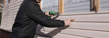 Best Vinyl Siding Installation  in Auburn, KY